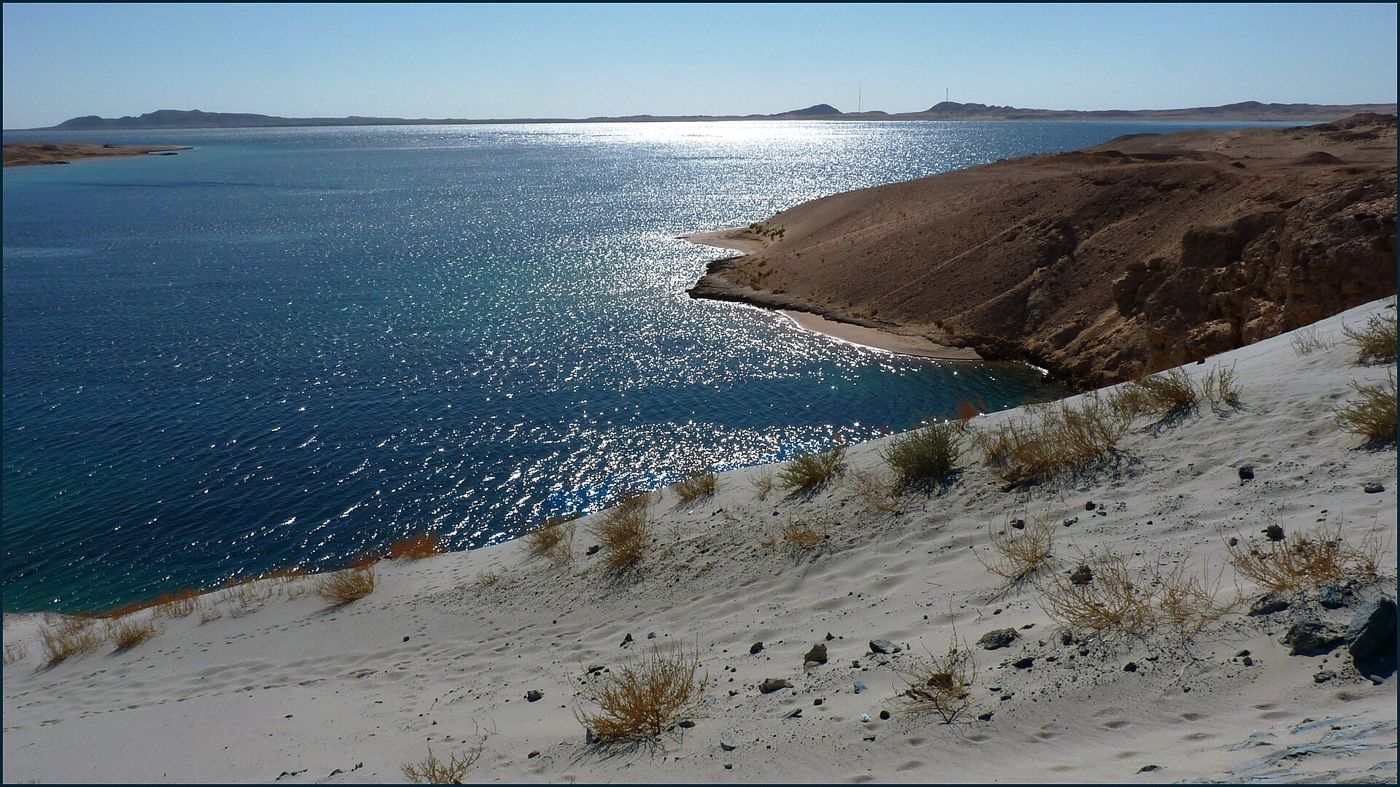 Ras Mohammed National Park by Bus